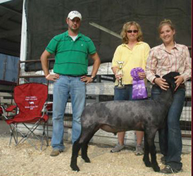 Johnson Family Show Stock