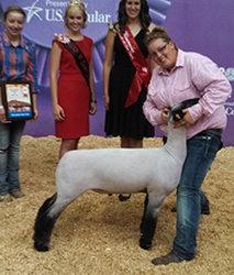 Johnson Family Showstock