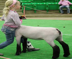 Johnson Family Show Stock