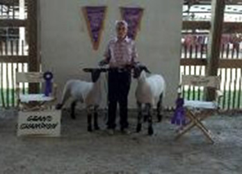 Johnson Family Show Stock