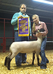 Johnson Family Show Stock