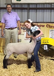 Johnson Family Showstock