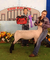 Johnson Family Show Stock