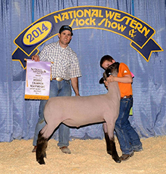 Johnson Family Showstock