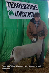 Johnson Family Showstock