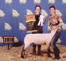 Johnson Family Showstock