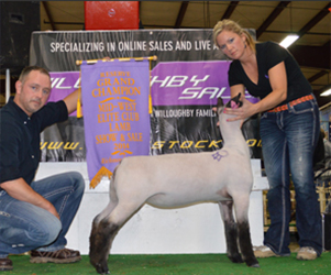 Johnson Family Showstock