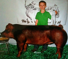 Johnson Family Show Stock