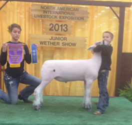 Johnson Family Show Stock